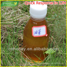 Natürlicher Ölsaatenraps (OSR) Honig